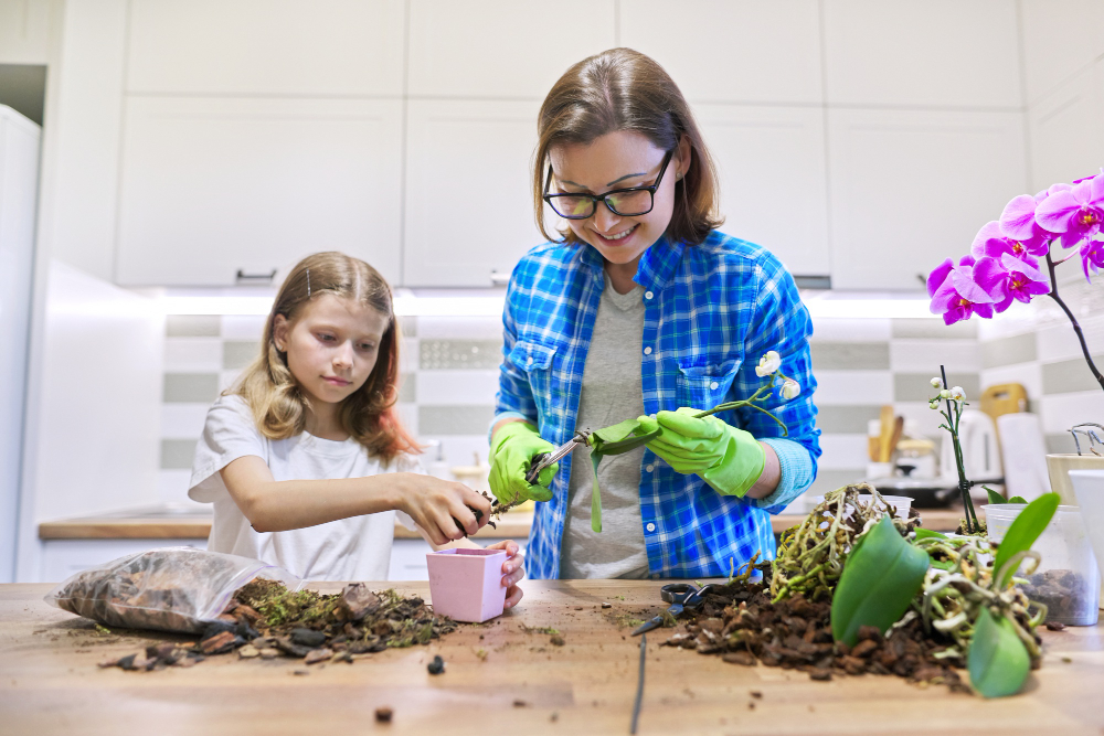 Mother Daughter Child Together Kitchen Planting Phalaenopsis Orchid Plants Pots