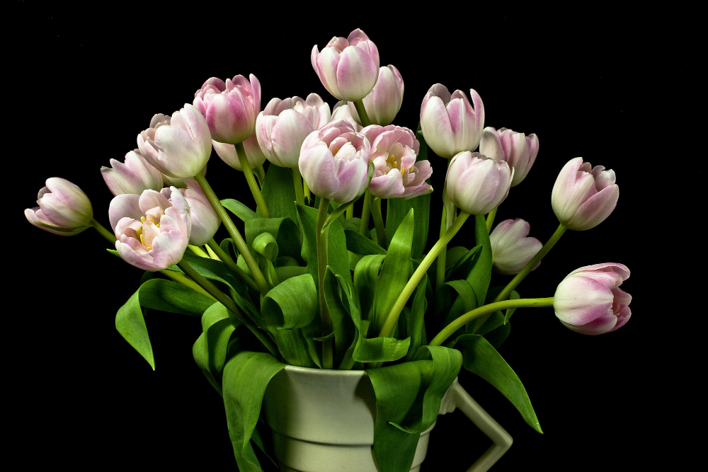Closeup Bunch Pink Tulips Art Deco Vase