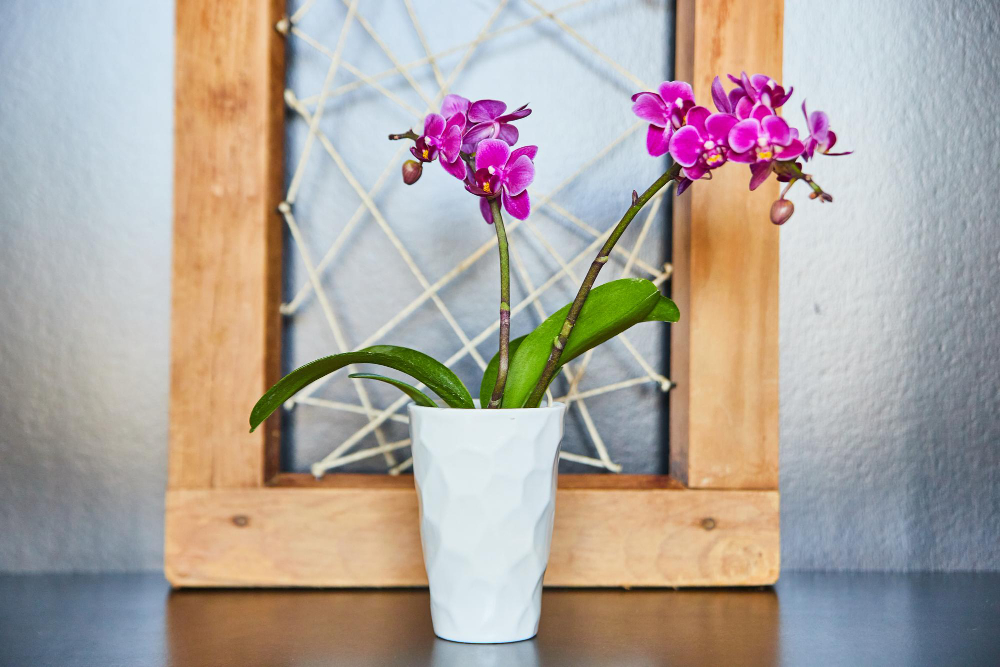 Pink Orchids White Vase With Wood Twine Art
