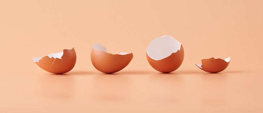 Amazing Shot Of Eggshells Isolated On Orange Background