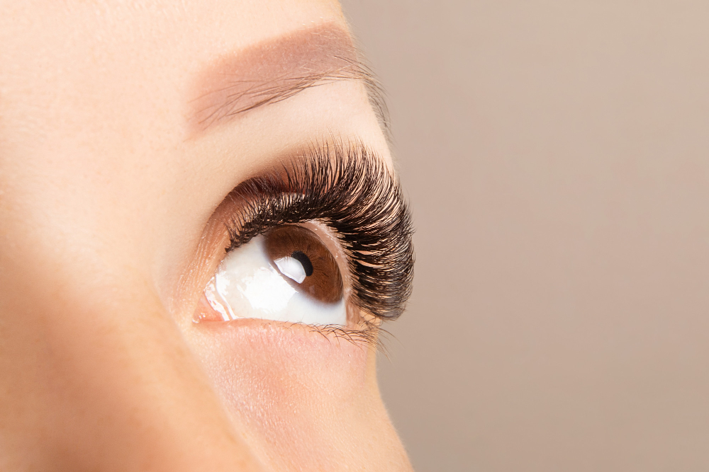 Brown Eye With Beautiful Long Lashes Close Up Brown Color Eyelash Extension